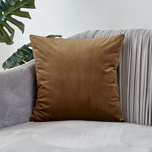 Plush Velvet Throw Pillow - 20x20 (with insert)