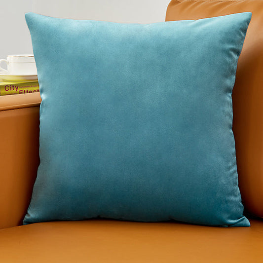 Plush Velvet Throw Pillow - 20x20 (with insert)