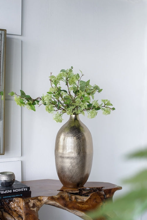 The Aura Vessel